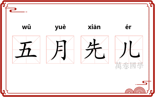 五月先儿 五月先儿