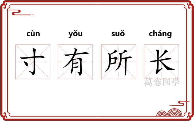 寸有所长