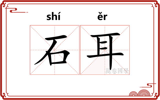 石耳