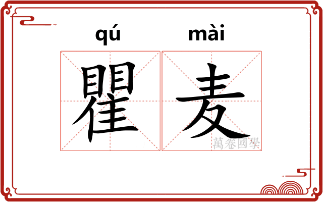 瞿麦