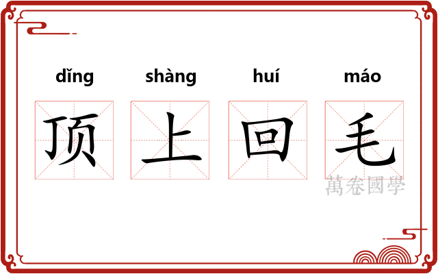 顶上回毛