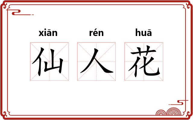 仙人花