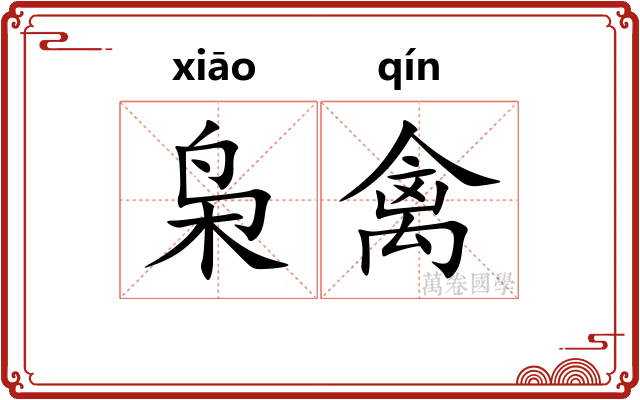 枭禽