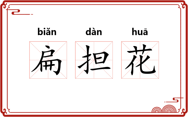 扁担花