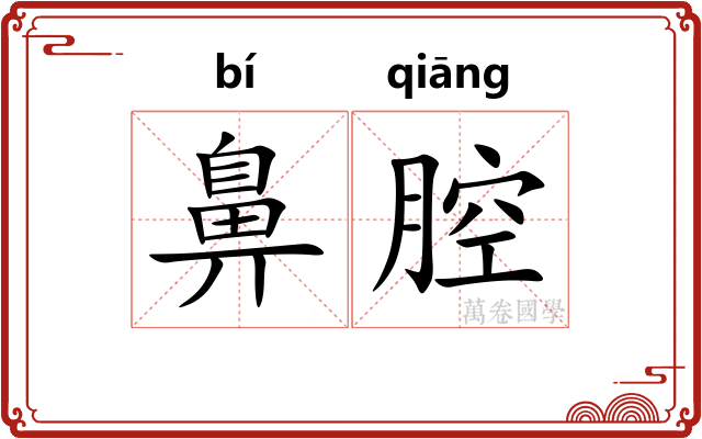 鼻腔