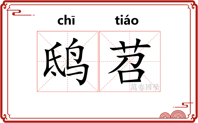 鸱苕