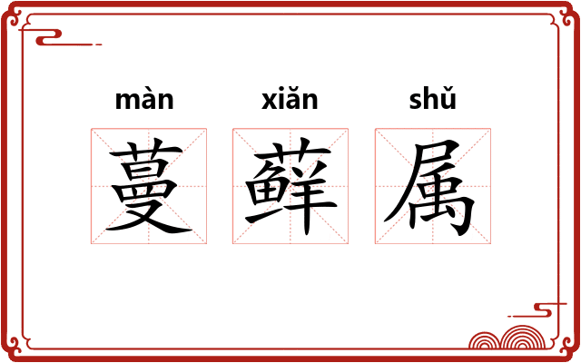 蔓藓属
