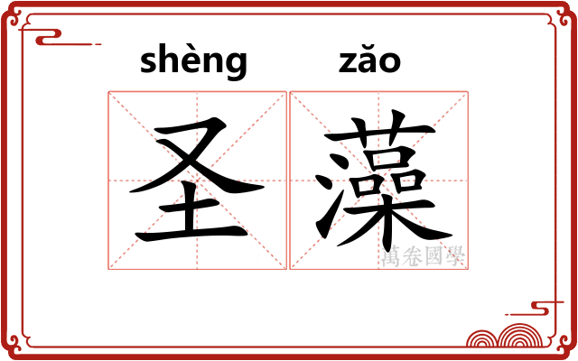 圣藻