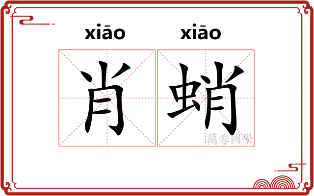 肖蛸
