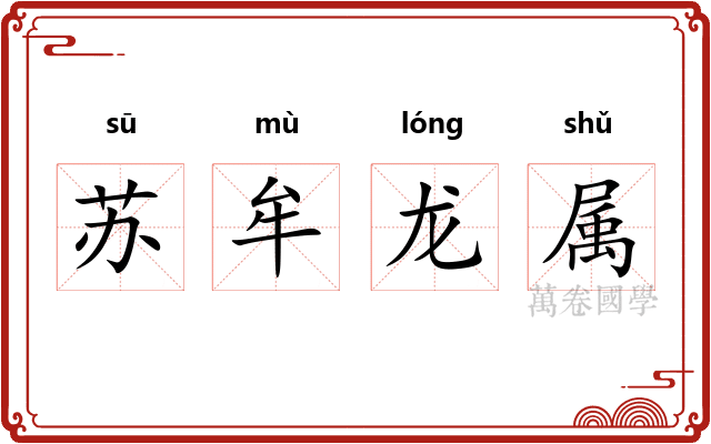 苏牟龙属
