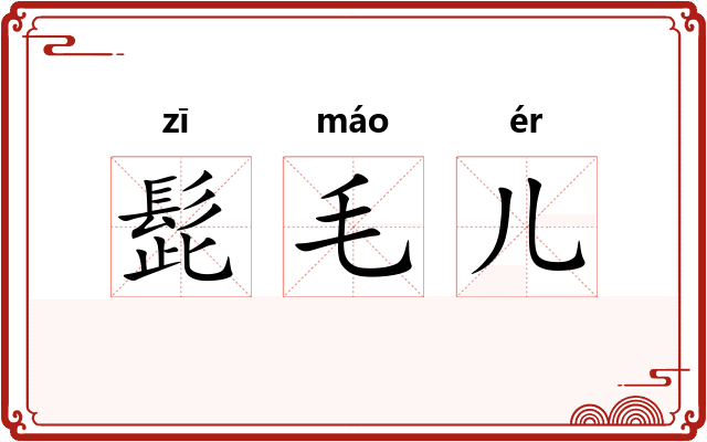 髭毛儿