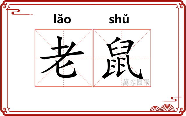 老鼠 老鼠