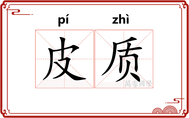 皮质