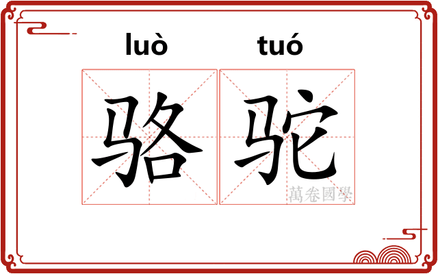 骆驼