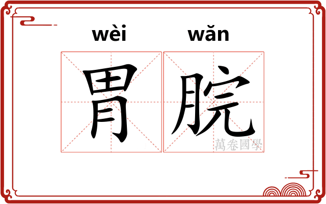 胃脘