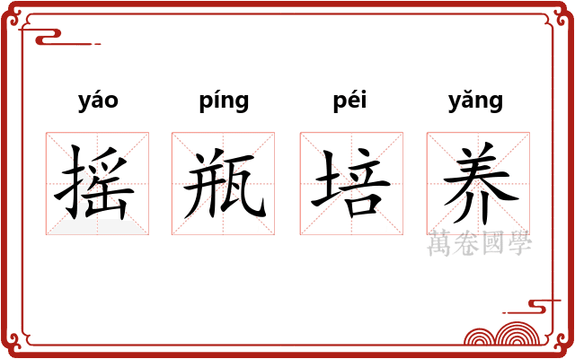 摇瓶培养 摇瓶培养