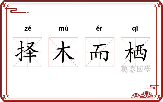择木而栖
