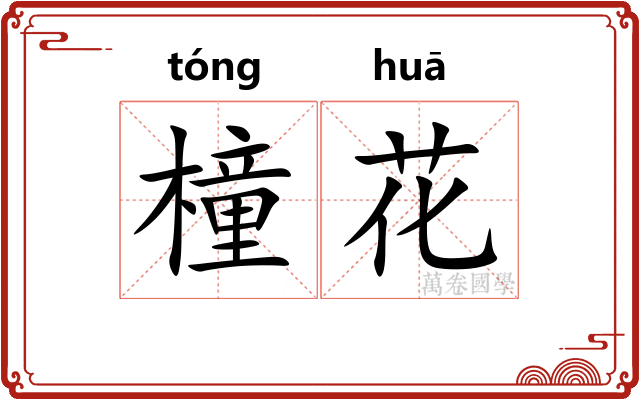 橦花 橦花