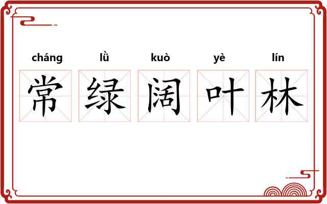 常绿阔叶林
