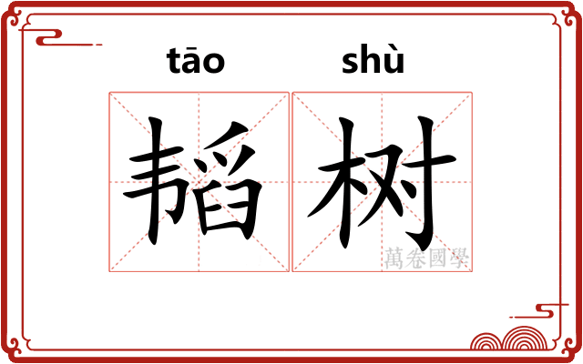 韬树