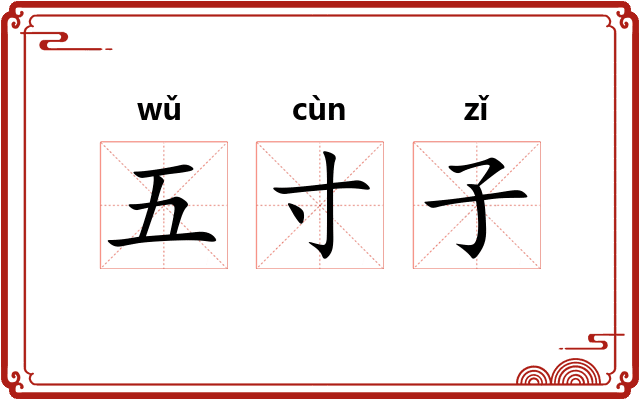 五寸子 五寸子