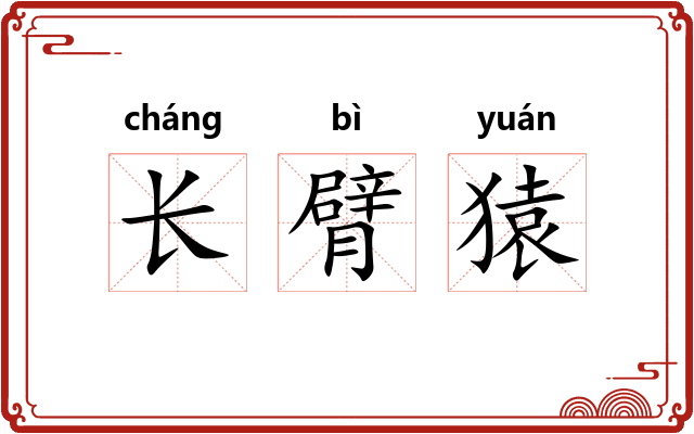 长臂猿 长臂猿