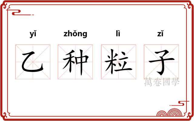 乙种粒子 乙种粒子