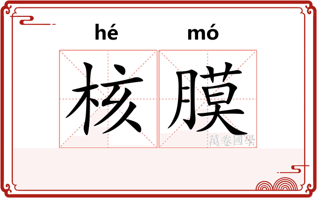 核膜