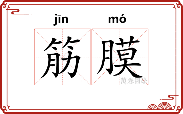 筋膜