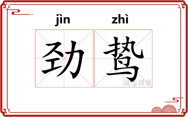 劲鸷