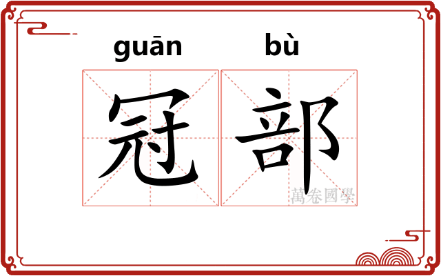 冠部