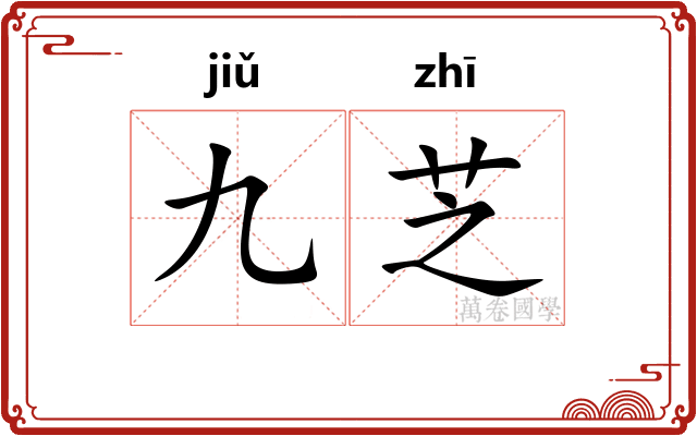 九芝