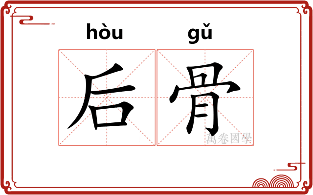 后骨 后骨