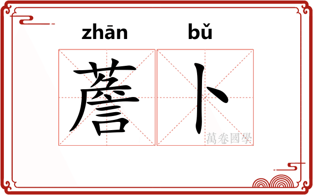 薝卜