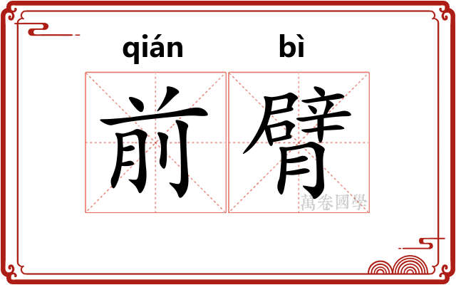 前臂