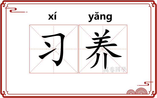 习养