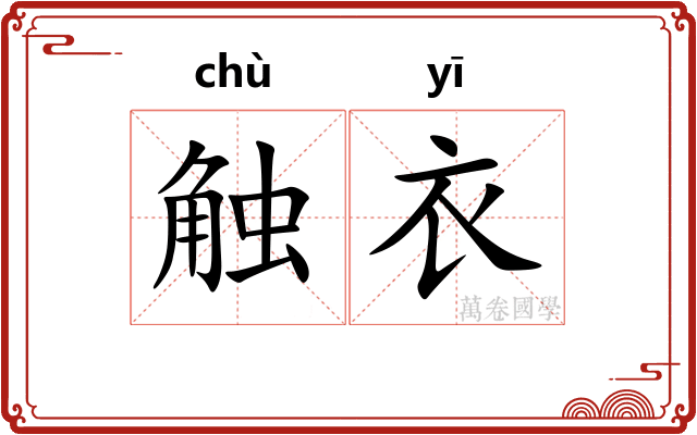 触衣