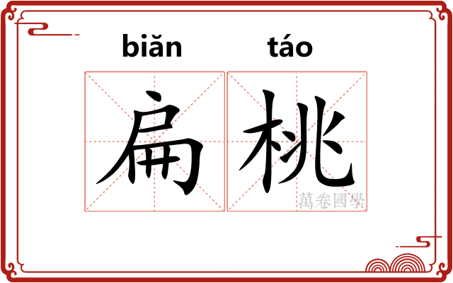 扁桃