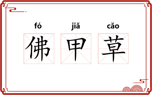 佛甲草 佛甲草