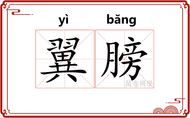 翼膀