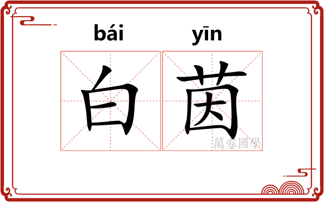 白茵 白茵