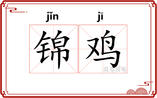 锦鸡