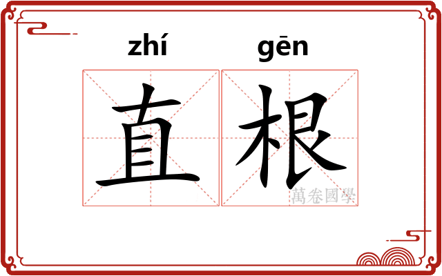 直根