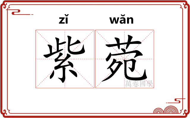紫菀