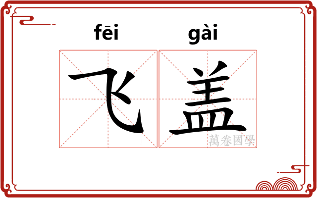 飞盖
