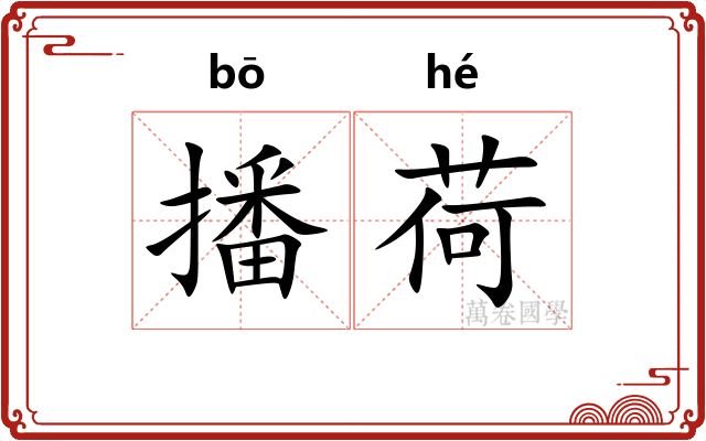 播荷