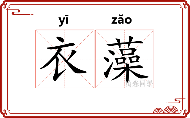 衣藻