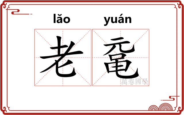 老鼋