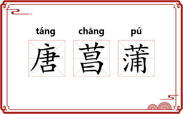唐菖蒲