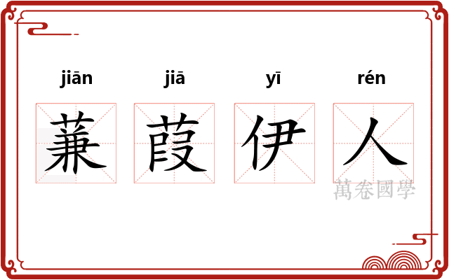 蒹葭伊人